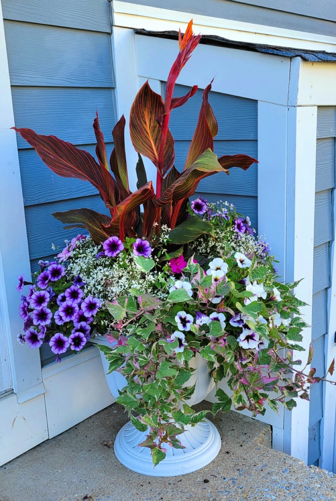 Seasonal planter styled by Monarch